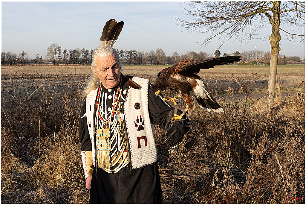 Cheyenne-Halbblut Hunting Wolf in der Falknerei Pierre Schmidt; Gymnich, 09.02.2023